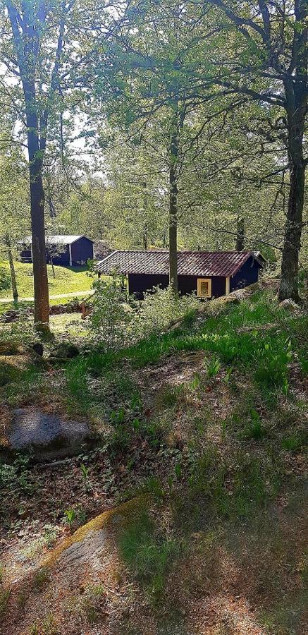 Kolleviks Camping Och Stugby Карлсхамн Екстериор снимка